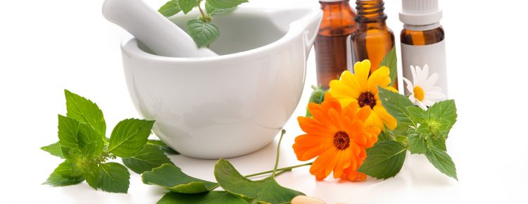 Healing herbs and amortar. Alternative medicine concept